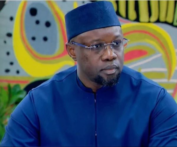 Artisanat : Bâtir à l’horizon 2050 un écosystème territorial intégré autour des Peaux et Cuirs